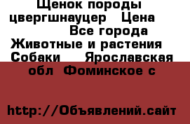 Щенок породы  цвергшнауцер › Цена ­ 30 000 - Все города Животные и растения » Собаки   . Ярославская обл.,Фоминское с.